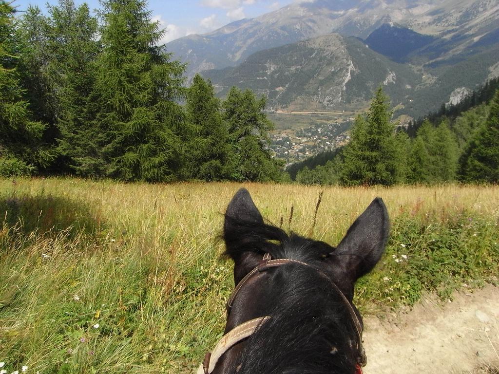 Gite Montagne Mercantour Villa Valdeblore Esterno foto